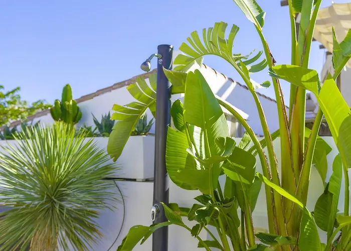 Centre Fishermans Leif Estepona