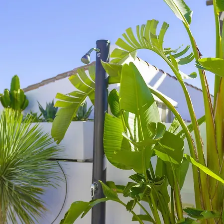 Centre Fishermans Leif Estepona